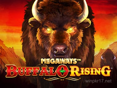 17 win pkr Buffalo Rising Megaways